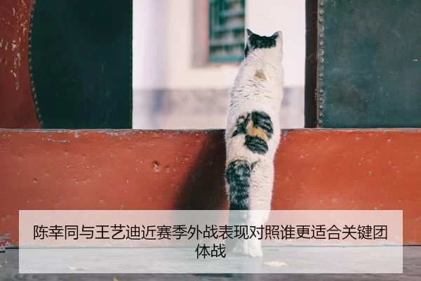 陈幸同与王艺迪近赛季外战表现对照谁更适合关键团体战